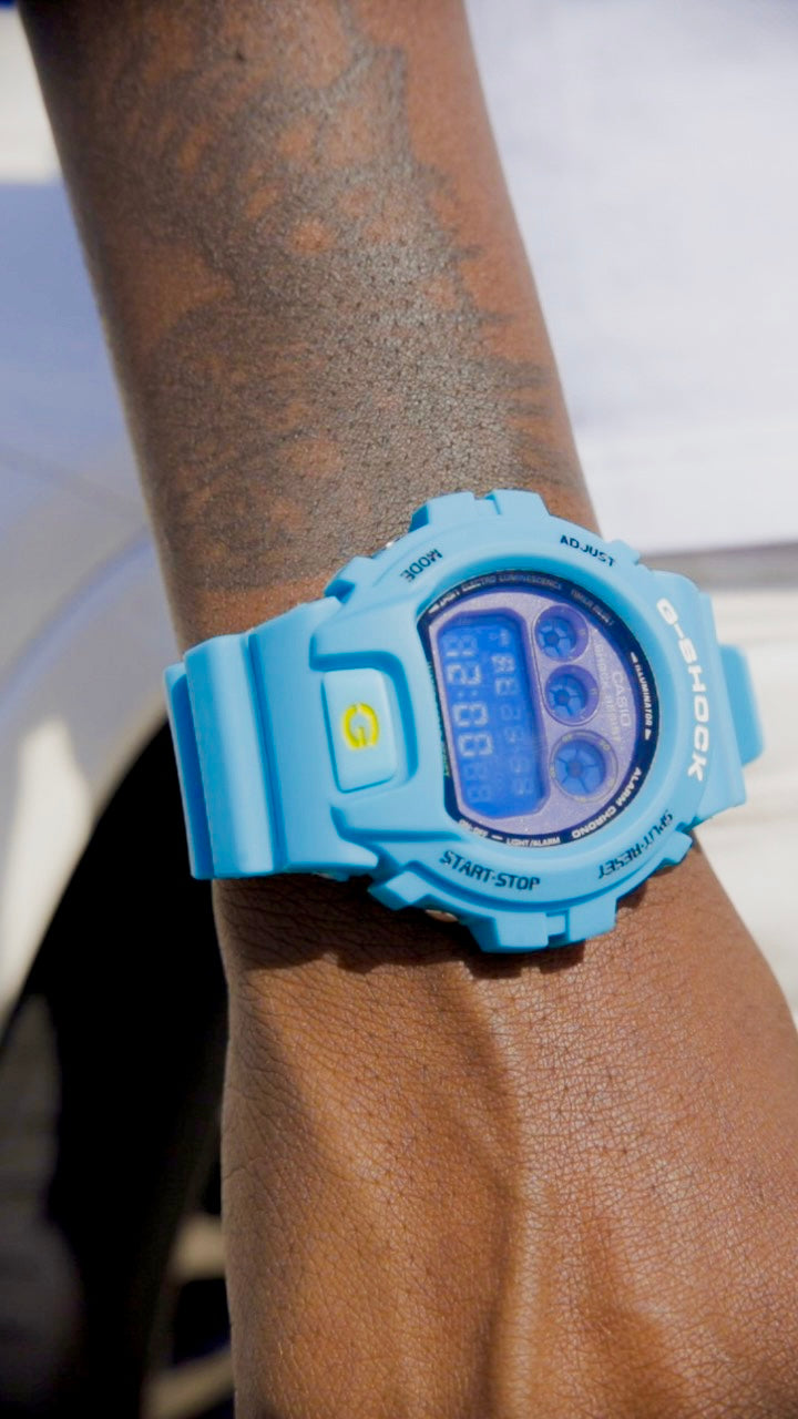 DW6900 “HORNETS”